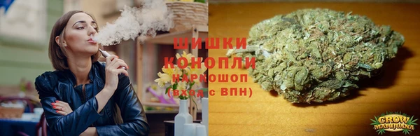стаф Усмань