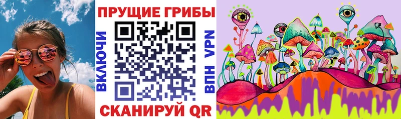 Псилоцибиновые грибы Cubensis  хочу   Бодайбо 